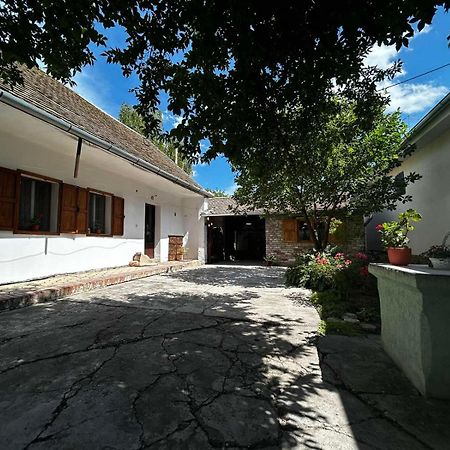 Oaza Mira Porodicna Kuca Za Opustanje Villa Apatin Exterior photo