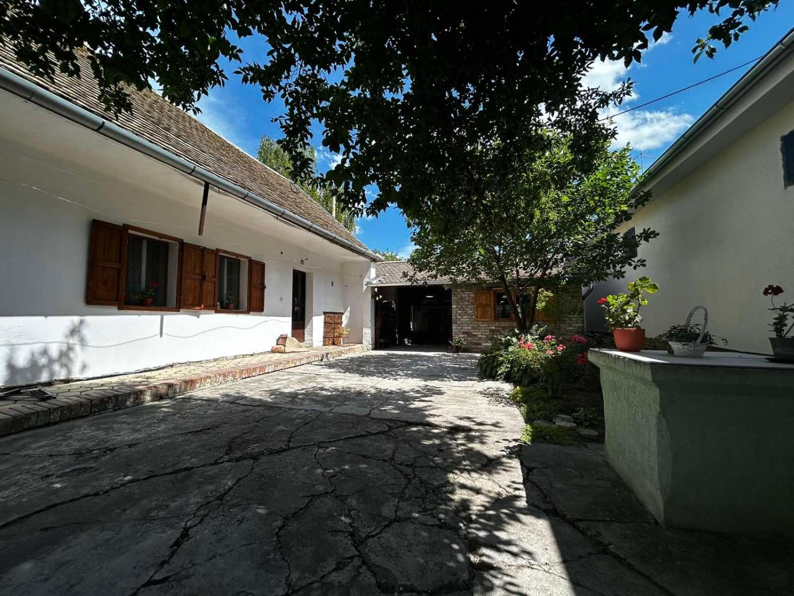 Oaza Mira Porodicna Kuca Za Opustanje Villa Apatin Exterior photo